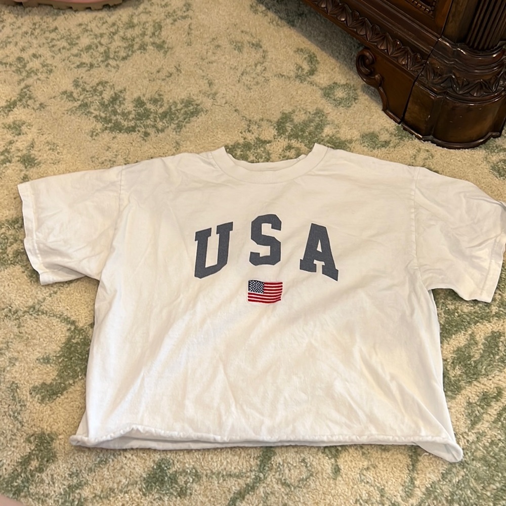 PacSun cropped shirt